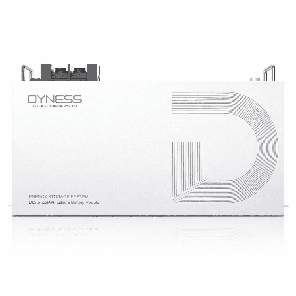 Dyness DL2.5 25.6V 100Ah Lithium Battery